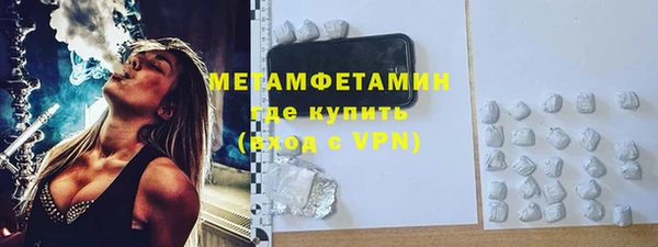 прущие грибы Няндома