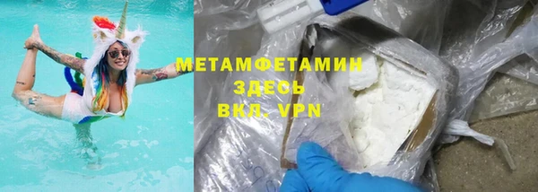 прущие грибы Няндома