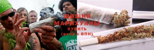 прущие грибы Няндома