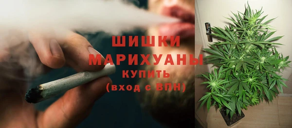 дмт Новозыбков