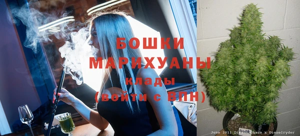 метадон Новодвинск