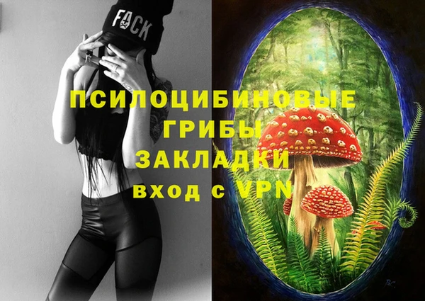 прущие грибы Няндома