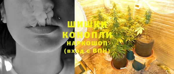 метадон Новодвинск