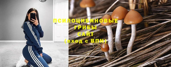 дмт Новозыбков