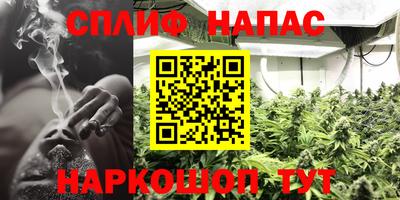 apvp Балахна