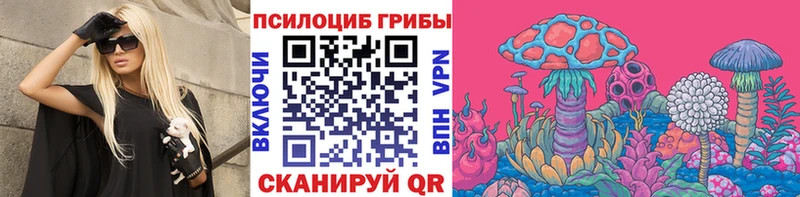 Псилоцибиновые грибы Psilocybine cubensis  магазин    Кирово-Чепецк 