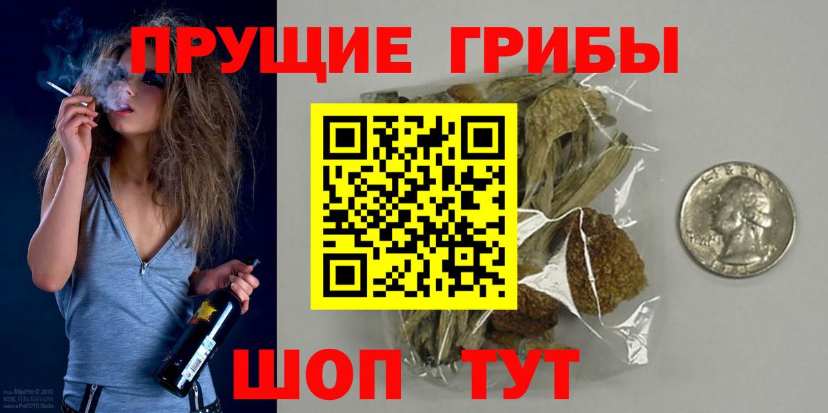дарнет шоп  Вход с VPN  Кирово-Чепецк  Псилоцибиновые грибы мицелий 